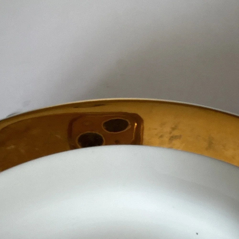 White Round Dinner Plate 10 in, Gold Rim, Shiny Finish, 1 Compartment
